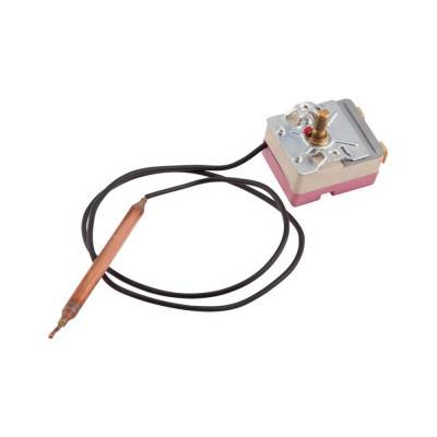 Будкрам купити Термостат капілярний Thermo Alliance, 75±5 °С (36300090)