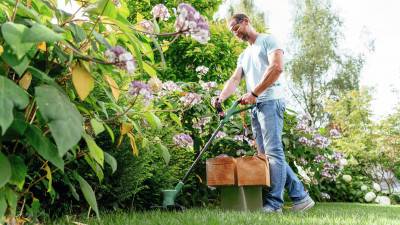 Будкрам купить Триммер электрический EasyGrassCut 18-230 Триммер электрический EasyGrassCut 18-230 11