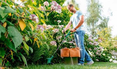 Будкрам купить Триммер электрический EasyGrassCut 26 Триммер электрический EasyGrassCut 26 4