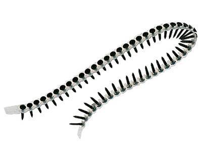 Будкрам купить Лента с шурупами Pozidrive PZ2 4x30 мм (1000 шт.)