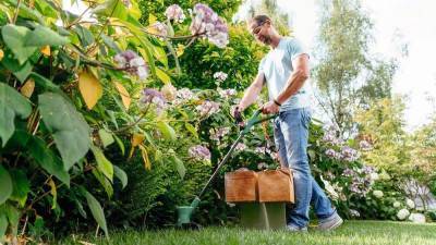 Будкрам купити EasyGrassCut 23 EasyGrassCut 23 3