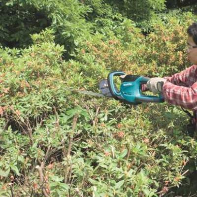Будкрам купити Ножиці для живоплоту Ножиці для живоплоту 6