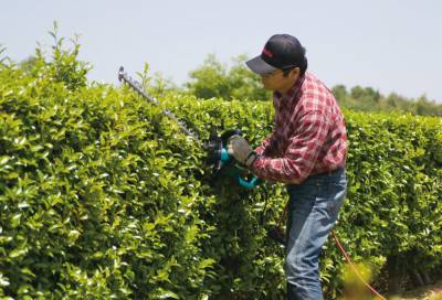 Будкрам купити Ножиці для живоплоту Ножиці для живоплоту 6
