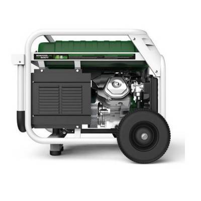 Будкрам купить Генератор бензин - газ GENERGY NATURA 7000 7 / 6 кВт Генератор бензин - газ GENERGY NATURA 7000 7 / 6 кВт 6