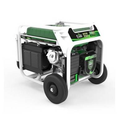 Будкрам купити Генератор бензин - газ GENERGY NATURA 7000 7 / 6 кВт