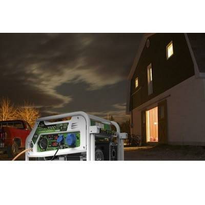 Будкрам купить Генератор бензин - газ GENERGY NATURA 7000 7 / 6 кВт Генератор бензин - газ GENERGY NATURA 7000 7 / 6 кВт 4