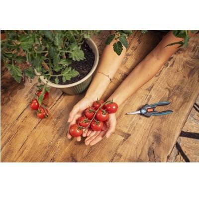 Будкрам купити Ножиці для трави та квітів Gardena FreshCut Ножиці для трави та квітів Gardena FreshCut 7