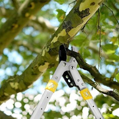 Будкрам купити Сучкоріз телескопічний GRUNTEK XT 27-40 Premium з наковаленкою 685-1015мм Сучкоріз телескопічний GRUNTEK XT 27-40 Premium з наковаленкою 685-1015мм 8