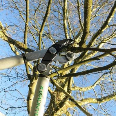 Будкрам купити Гілкоріз Gruntek Grizzly 470 мм Гілкоріз Gruntek Grizzly 470 мм 5