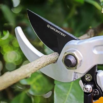 Будкрам купити Секатор Gruntek Rabe Professional 200 мм Секатор Gruntek Rabe Professional 200 мм 2