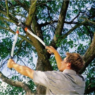 Будкрам купити Гілкоріз Gardena Premium 700 В Гілкоріз Gardena Premium 700 В 3