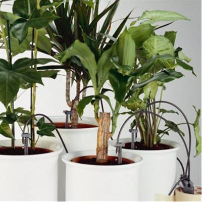 Будкрам купити Комплект для поливу домашніх рослин Gardena Комплект для поливу домашніх рослин Gardena 5