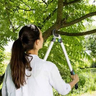 Будкрам купити Гілкоріз із ковадлом Gardena EasyCut 680A Гілкоріз із ковадлом Gardena EasyCut 680A 2