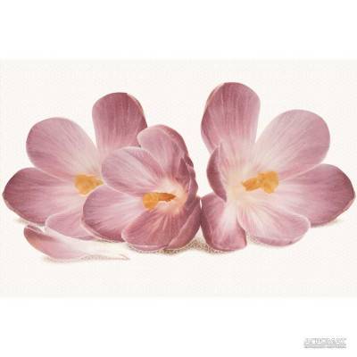 Будкрам купити CASABLANCA  FLOWER декор