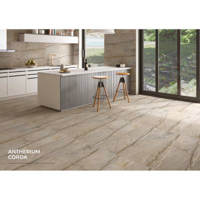 Будкрам купить ANTHERIUM CORDA ANTHERIUM CORDA 4