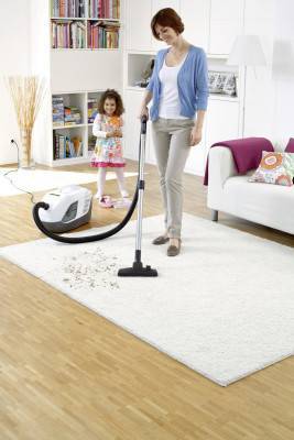 Будкрам купить Пылесос с аквафильтром Karcher DS 6 Premium Plus (1.195-242.0) Пылесос с аквафильтром Karcher DS 6 Premium Plus (1.195-242.0) 2
