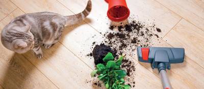 Будкрам купити Робот-пилосос Sencor SRV2230TI Робот-пилосос Sencor SRV2230TI 20