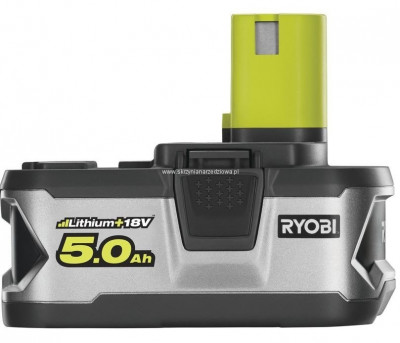 Будкрам купить Аккумулятор и зарядное устройство Ryobi ONE+ RC18120-250,  Lithium+ 18V 2x5.0Ah Аккумулятор и зарядное устройство Ryobi ONE+ RC18120-250,  Lithium+ 18V 2x5.0Ah 2