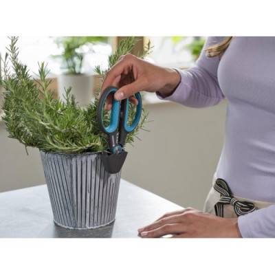 Будкрам купити Ножиці Gardena HerbCut із функцією дефоліації Ножиці Gardena HerbCut із функцією дефоліації 4