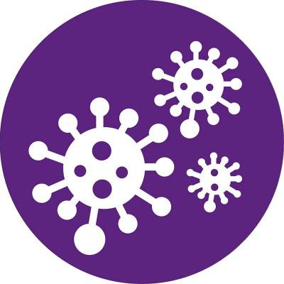 Будкрам купить Philips Фильтр для очистителя воздуха FY2420/30 Philips Фильтр для очистителя воздуха FY2420/30 4