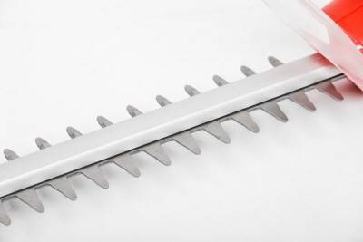 Будкрам купить Кусторез на аккумуляторной батареи HECHT 6020 Кусторез на аккумуляторной батареи HECHT 6020 8