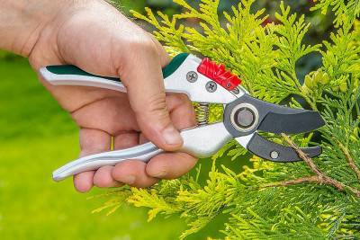 Будкрам купити Секатор садовий Verto 15G207 Секатор садовий Verto 15G207 2