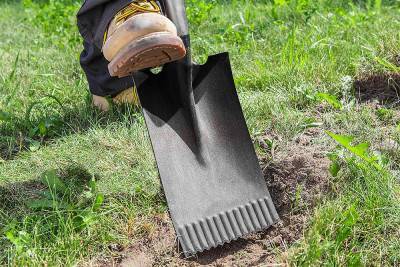 Будкрам купить Verto Лопата штыковая T-REX, прямая, зубчатая кромка, 125 см, 1.9кг Verto Лопата штыковая T-REX, прямая, зубчатая кромка, 125 см, 1.9кг 2