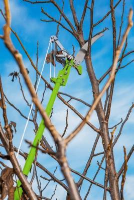 Будкрам купити Секатор-сучкоріз Verto 15G260 Секатор-сучкоріз Verto 15G260 2