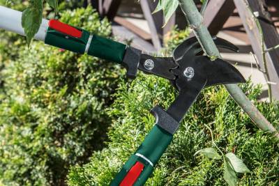 Будкрам купить Секатор-сучкорез телескопический Verto 15G253, 700-1000 мм, лезвие 96 мм Секатор-сучкорез телескопический Verto 15G253, 700-1000 мм, лезвие 96 мм 2