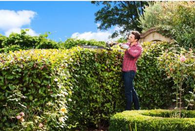 Будкрам купити Кущоріз садовий Ryobi ONE+ Hybrid OHT1850H, без акб. Кущоріз садовий Ryobi ONE+ Hybrid OHT1850H, без акб. 5