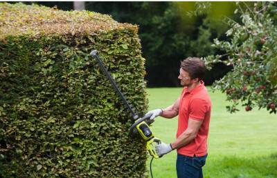 Будкрам купити Кущоріз Ryobi RHT6160RS, 600Вт