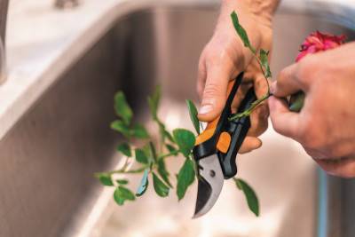 Будкрам купити Ножиці для квітів Fiskars Solid SP14, 18,5 см Ножиці для квітів Fiskars Solid SP14, 18,5 см 2