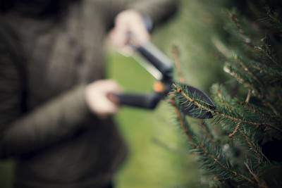 Будкрам купити Ножиці для живоплоту Fiskars SingleStep НS22, 580мм Ножиці для живоплоту Fiskars SingleStep НS22, 580мм 6