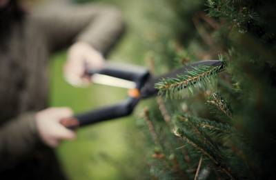 Будкрам купити Ножиці для живоплоту Fiskars SingleStep НS22, 580мм Ножиці для живоплоту Fiskars SingleStep НS22, 580мм 5