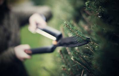 Будкрам купити Ножиці для живоплоту Fiskars SingleStep НS22, 580мм Ножиці для живоплоту Fiskars SingleStep НS22, 580мм 4