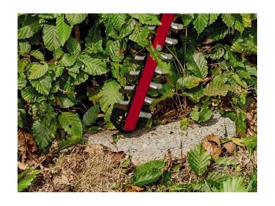 Будкрам купити Кущоріз акумуляторний Einhell ARCURRA, без акб Кущоріз акумуляторний Einhell ARCURRA, без акб 3