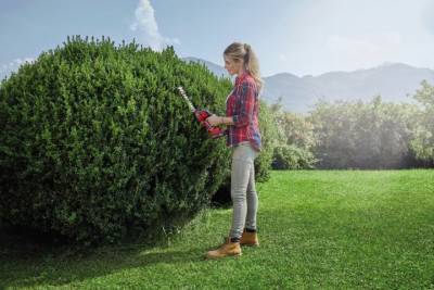 Будкрам купити Ножиці акумуляторні Einhell GE-CG 18/100 Li - Solo Ножиці акумуляторні Einhell GE-CG 18/100 Li - Solo 2