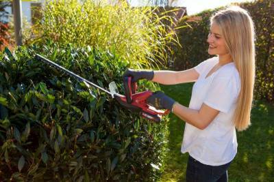 Будкрам купити Кущоріз акумуляторний Einhell GE-CH 1846 Li - Solo Кущоріз акумуляторний Einhell GE-CH 1846 Li - Solo 2