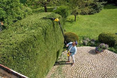 Будкрам купити Акумуляторний кусторіз штанговий Karcher PHG 18-45 Battery (1.444-210.0), без акб