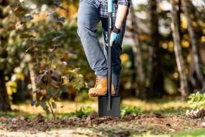 Будкрам купити Cellfast Лопата штикова IDEAL LINE, 116 см, 1.8кг Cellfast Лопата штикова IDEAL LINE, 116 см, 1.8кг 2