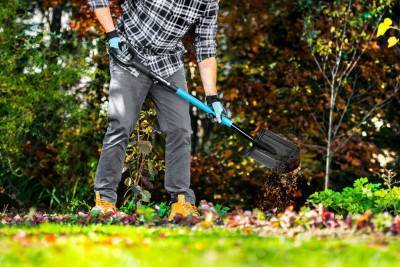 Будкрам купить Cellfast Лопата штыковая IDEAL PRO, 120 см, 1.8кг Cellfast Лопата штыковая IDEAL PRO, 120 см, 1.8кг 2