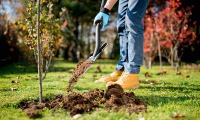 Будкрам купити Cellfast Лопата штикова NEW IDEAL LINE, 80 см, 1.25кг Cellfast Лопата штикова NEW IDEAL LINE, 80 см, 1.25кг 2