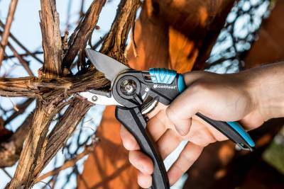 Будкрам купити Секатор контактний Cellfast Ergo, довжина 20 см, різ 18 мм (41-021_CELLFAST) Секатор контактний Cellfast Ergo, довжина 20 см, різ 18 мм (41-021_CELLFAST) 2