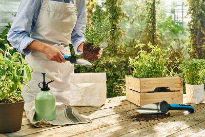 Будкрам купити Cellfast Совок садовий ERGO, широкий, 28 см х 7.5 см Cellfast Совок садовий ERGO, широкий, 28 см х 7.5 см 3