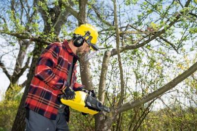 Будкрам купити Акумуляторна ланцюгова пилка Karcher CNS 36-35 Battery, швидкозарядний комплект, акб Акумуляторна ланцюгова пилка Karcher CNS 36-35 Battery, швидкозарядний комплект, акб 7