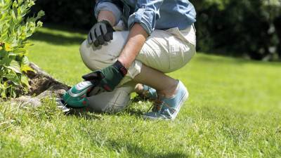 Будкрам купити Кущоріз-ножиці акумуляторний Bosch ISIO 3 у чохлі з ножем для трави, ножем кущі та з/п Кущоріз-ножиці акумуляторний Bosch ISIO 3 у чохлі з ножем для трави, ножем кущі та з/п 4