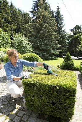 Будкрам купити Кущоріз-ножиці акумуляторний Bosch ISIO 3 у чохлі з ножем для трави, ножем кущі та з/п Кущоріз-ножиці акумуляторний Bosch ISIO 3 у чохлі з ножем для трави, ножем кущі та з/п 2