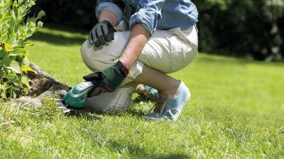 Будкрам купить Аккумуляторные ножницы Bosch ISIO 3 со штангой и з/у Аккумуляторные ножницы Bosch ISIO 3 со штангой и з/у 3