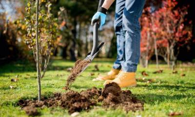 Будкрам купити Cellfast Лопата туристична IDEAL LINE, 80 см, 1.25 кг Cellfast Лопата туристична IDEAL LINE, 80 см, 1.25 кг 2