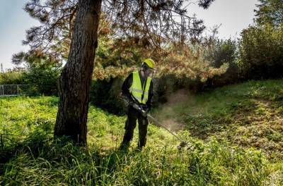 Будкрам купить Аккумуляторная коса с D-образной рукояткой FSD 36-18 LTX BL 40 без акб (601610850) Аккумуляторная коса с D-образной рукояткой FSD 36-18 LTX BL 40 без акб (601610850) 4